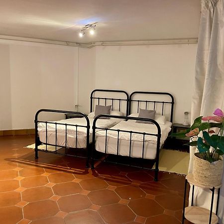 Gaestehaus Vigliarolo Gewerblich Jedes Zimmer Eigenes Bad Gemeinschaftskueche 埃尔姆斯霍恩 外观 照片